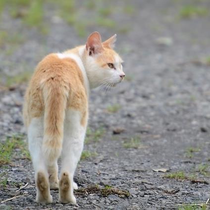 ポートレート写真と猫が好きな人。
写真は屋外撮影会や個人撮影がメイン。他好き：クラシック音楽・温泉・ラーメン・カレー・タナゴ釣り・釣った魚やカメの飼育等。ゲーム：ラグナロクオンライン。萌え：黒髪ロング系。つぶやき少なめですが、フォローはご自由にどうぞ。