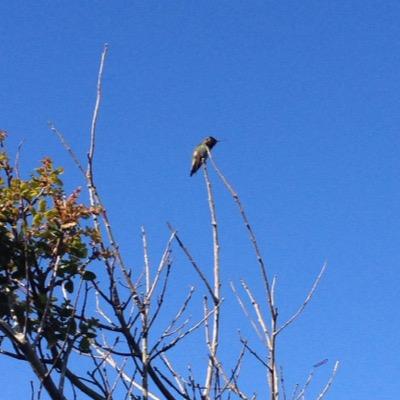 Mecool7123's profile picture. 