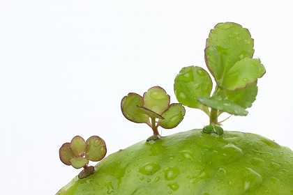 emotionalplanet's profile picture. みなさんこんにちは！☆このtwitterでは、二胡演奏会、中国伝統楽器（板胡、高胡、京胡など）、二胡＆板胡教室、エコな情報やプライベート(ダイビング、花火、ランニング、ゴルフ）で感じたこと、出会ったことなどを書き込んでいきます。よろしくお願いします☆nice to meet you./Follow me piz!!!