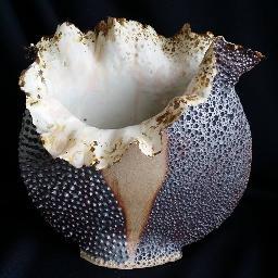 PatShortCeramic's profile picture. Ceramic Artist