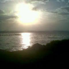 sissimm's profile picture. 