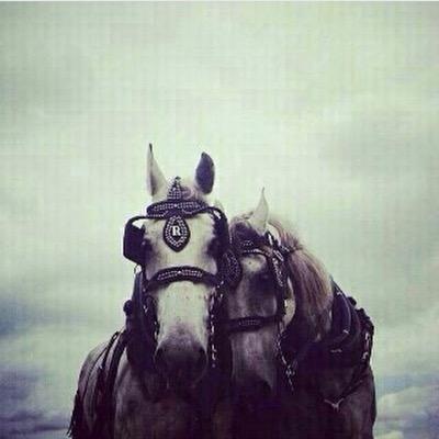 turkiy592's profile picture. ❤️❤️