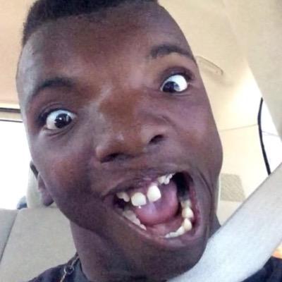 llamallama44's profile picture. 