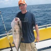 Bob (@rewtshell) 's Twitter Profile