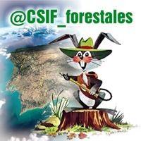 CSIF_forestales Profile Picture