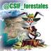 CSIF MEDIO AMBIENTE (@CSIF_forestales) Twitter profile photo