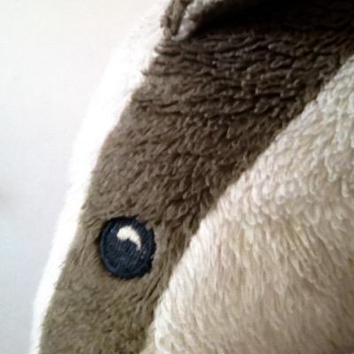 allasska's profile picture. 