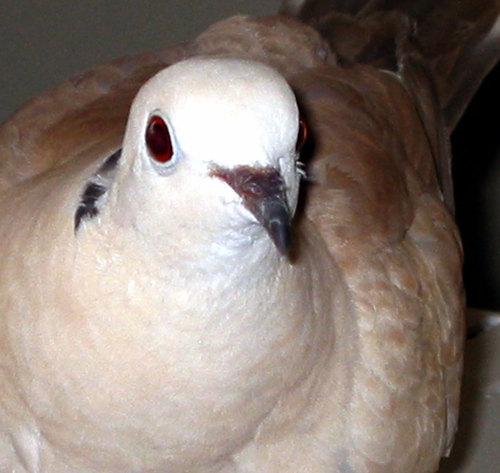 CyndiStivers's profile picture. Senior curator, TED Conferences. 
Sometime teacher and perpetual student.