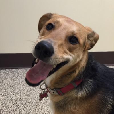 cindyc7's profile picture. 