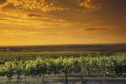 Walla Walla is in the heart of Washington's premier wine region. As one of the oldest town in the West, it features culture and history unrivaled in the NW.