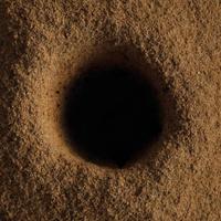 ENTER. (@enterexperience) 's Twitter Profile