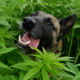 Physicists, Philosopher, Farmer, Chef, Dyslexic #MedicalAdvocate #CannabisAdvocate
Love My Kids, Cannabis, Nature, Backpacking, Science, Philosophy, Humour...