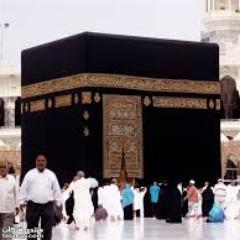 paradiseprojec1's profile picture. 