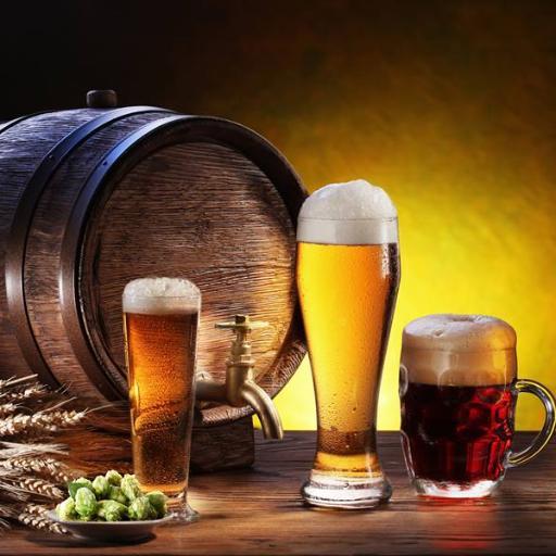 Tienda de cerveza artesanal, calidad, sabor y placer en un solo lugar. Lupulo@outlook.com