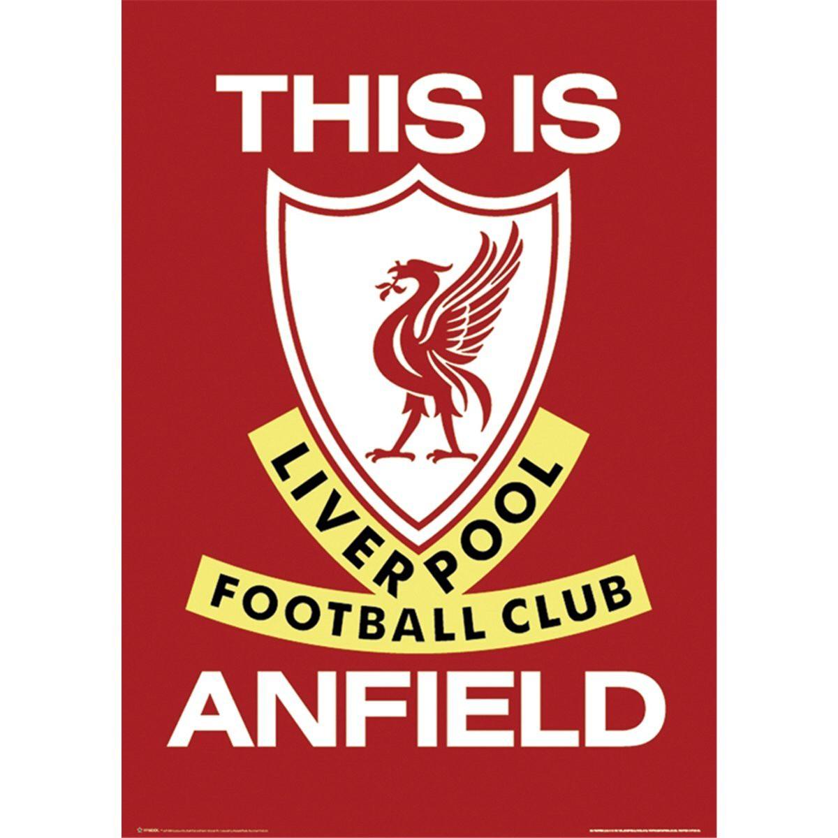 “People like Coldplay and voted for the Nazis, you can’t trust people”. Pessimistic Liverpool fan and optimistic socialist.