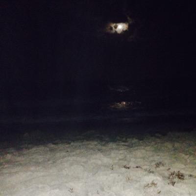 its4intheam's profile picture. 