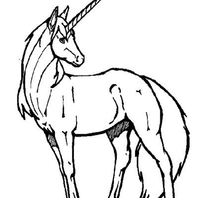 anonymousblog97's profile picture. People will always conform, if you act confident they will conform to your belief that you're fab just the way you are-confidence is the key to beauty.