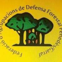 FederacióADF_PG (@federacioadfpg) 's Twitter Profile