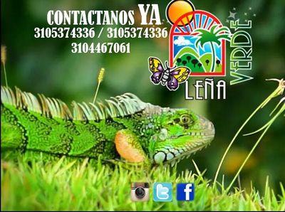 LenaVerdeHotel1's profile picture. Leña Verde complejo Eco-Turístico y Hotelero, reconocido en el Norte del Valle y Quindío, con un componente de confort y diversión para ti y tu familia.