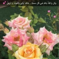 منى العبدالله (@16_muna) 's Twitter Profile