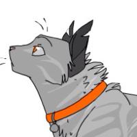 Mint (@mintpelt) 's Twitter Profile