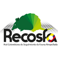 Recosfa(@recosfa) 's Twitter Profile Photo