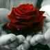 بنت السلطنه (@fatma112233a11) Twitter profile photo بنت السلطنه (@fatma112233a11) Twitter profile photo