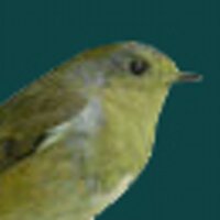 WrensEye (@wrenseye) 's Twitter Profile