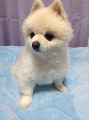 mrne_0120's profile picture. 看護師 ２年目