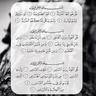 beent_a7mad's profile picture. من أعمقَ نققطة بَ قلبي، الحمدلله على كل حآجةة فَ حيآتي .