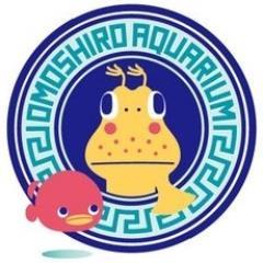 ☆横浜中華街にある｢ヨコハマおもしろ水族館/赤ちゃん水族館｣公式アカウント🐠 生きもの様子や展示情報をつぶきます☆  https://t.co/ukttgY9Qy2  https://t.co/nS6hpihIo1