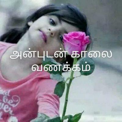 7b820169a7ac40a's profile picture. 