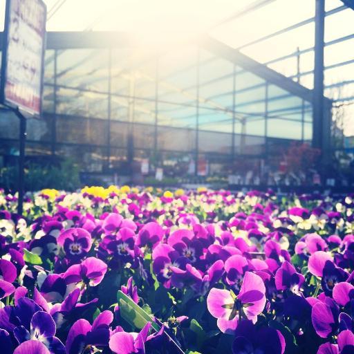 Tel: 053 9421368
Family run #gardencentre in #Wexford//  #Bloom Gold 2016, 2017, 2018 // Cafe inhouse @Greenhousecafe1// https://t.co/MdzG7VScid