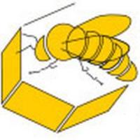Osservatorio Miele (@informamiele) 's Twitter Profile
