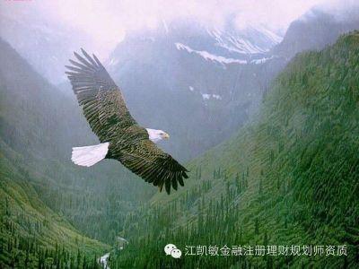 Yoga_Harjito's profile picture. 