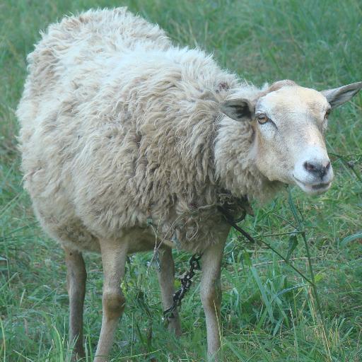 heyworo's profile picture. Добавьте шапку