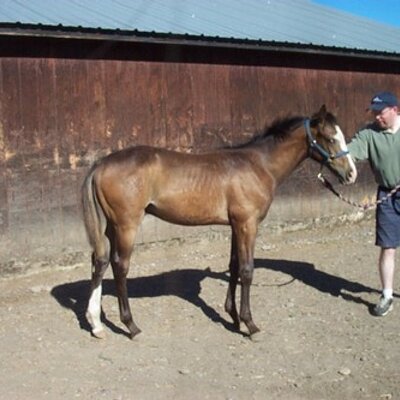 Oregonracing's profile image