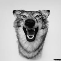 WILD WOLF (@tonivandala) 's Twitter Profile