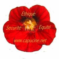 Capucine.net (@capucinenet1) 's Twitter Profile