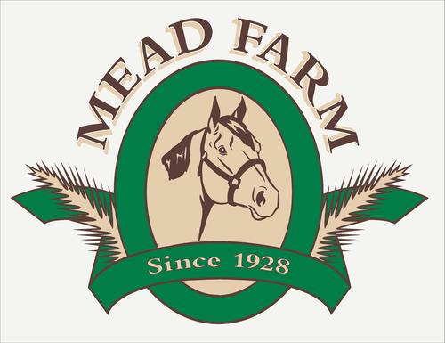 MeadFarm's profile picture. Lessons, Boarding, Leasing, Sales & Summer Horsemanship Riding Programs