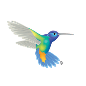 PersonifyFin's profile picture. Personify is an online lending platform, driven to create success for you through respect, transparency, and a complete commitment to innovation.