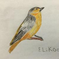 Emily (@fairbankbird101) 's Twitter Profile Photo Emily (@fairbankbird101) 's Twitter Profile Photo