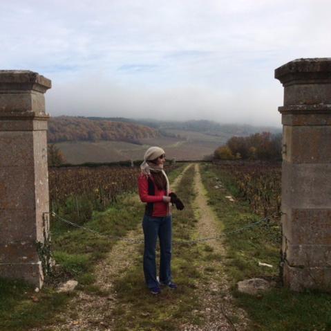 FranHerreraCris's profile picture. 