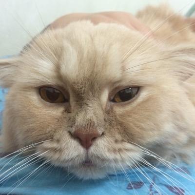 DerekWu1976's profile picture. 