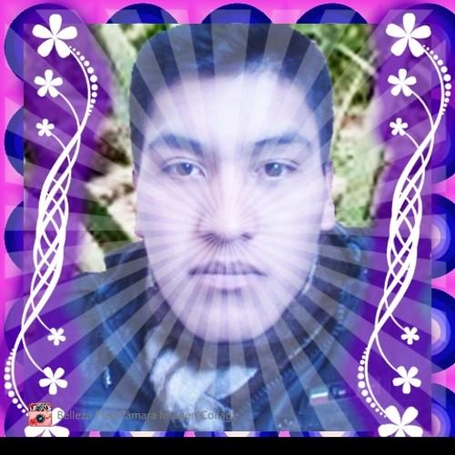 machaca_ym's profile picture.
