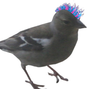 7w1tter's profile picture. 