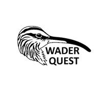 Wader Quest (@waderquest) 's Twitter Profile Photo Wader Quest (@waderquest) 's Twitter Profile Photo