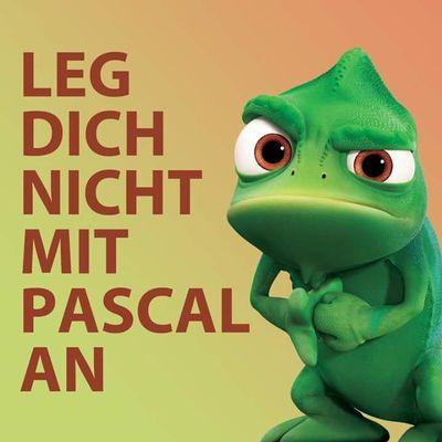 pascalmueller7's profile picture. 