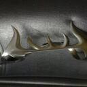 Buck Roger - @Intungminanga - Twitter