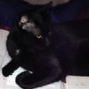 Kayla Kaster - @AsianNoodle0218 - Twitter